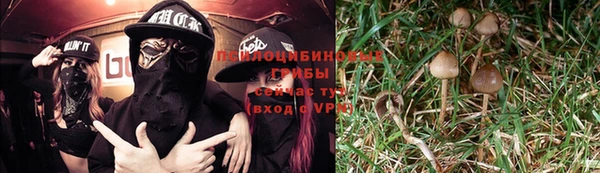 MESCALINE Медвежьегорск