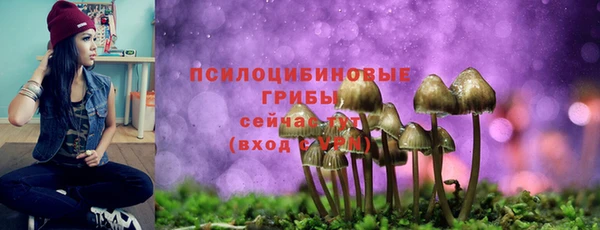 ешки Армянск