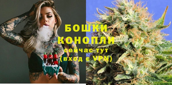 герыч Мегион