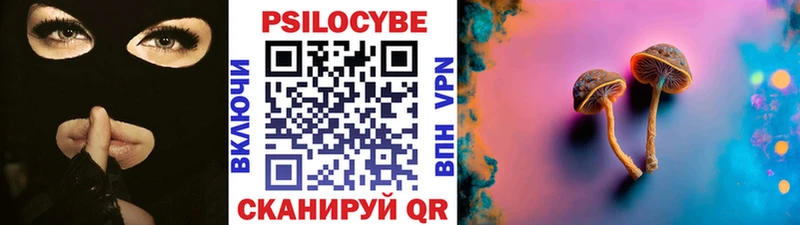 Галлюциногенные грибы мицелий  купить наркотик  Усть-Джегута 