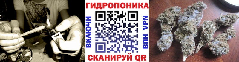 Каннабис SATIVA & INDICA  Усть-Джегута 